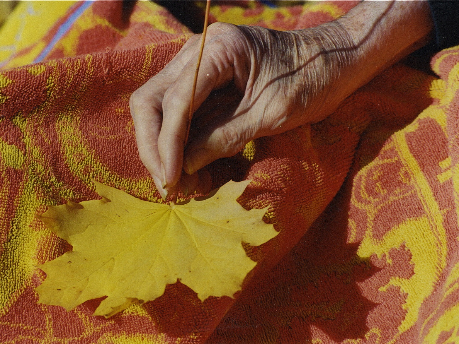 Vocal Coach In Rosalie Village Nebraska - Leaf